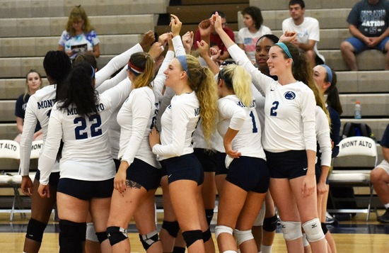 Volleyball Drops Home Match with Christendom